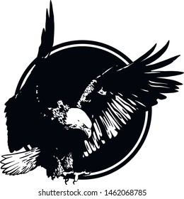 Vector bird. Eagle illustration. Good for logos and posters.