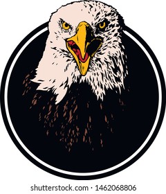 Vector bird. Eagle illustration. Good for logos and posters.