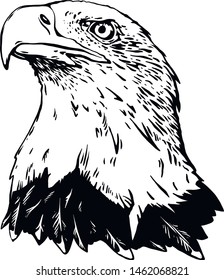Vector bird. Eagle illustration. Good for logos and posters.