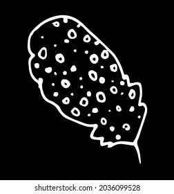 Vector bird feather with a texture of circles and dots . curved, rounded bird feather with dots pattern, drawn in sketch style, isolated white outline on a black background for a design template.