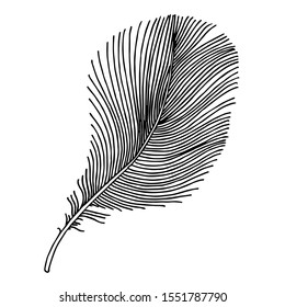 Vector bird feather from wing isolated. Black and white engraved ink art. Isolated feather illustration element on white background.
