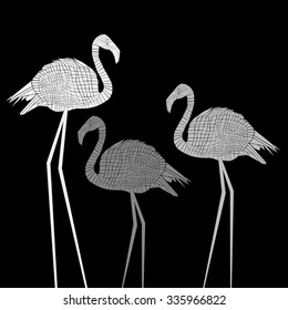 vector bird flamingo illustration exotic silhouette