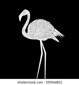 vector bird flamingo illustration exotic silhouette