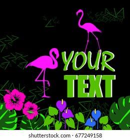 vector bird flamingo illustration pink exotic art silhouette beauty wild