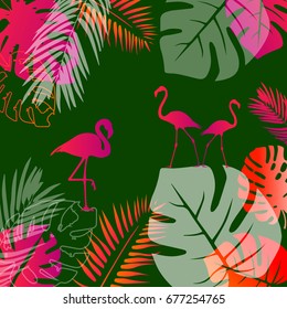 vector bird flamingo illustration pink exotic art silhouette beauty wild