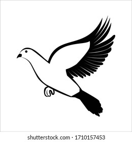 Diseños planos de aves vectoriales.Diseños de aves.Ave vectorial