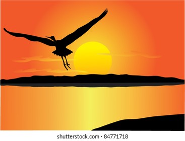 vector bird flying above the water