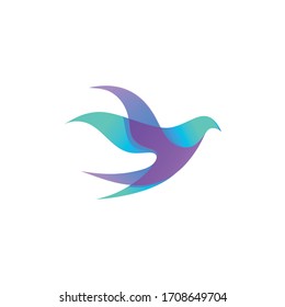 vector bird flying with modern concepts