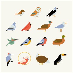 Vector Bird Icon Collection. Different Birds Species Like: Owl, Toucan, Hummingbird, Bullfinch And More Vector Illustration Birds