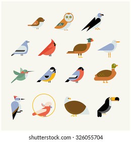 Vector bird icon collection. Different birds species like: owl, toucan, hummingbird, bullfinch and more vector illustration birds