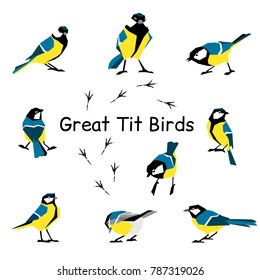 Vector bird icon collection. Great tit. Feathered in a flat style isolated on a white background.