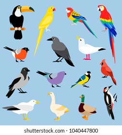 Vector bird icon collection  Tropical birds collection: parrots   toucan  Vector design isolated elements the white background 