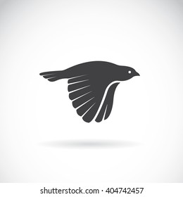 vector of bird icons on white background, Bird Icon, Vector bird for your design.