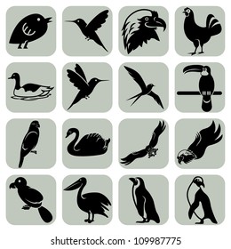 Vector bird icons set collection