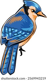 Vector Bird Illustration. Colourful Bird Illustration. Blue Bird. 