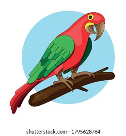 vector bird illustration. Red parrot on a branch. exotic macaw