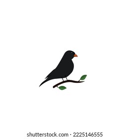 the vector bird illustration samyong