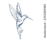 Vector Bird Ilustration Hand Drawing