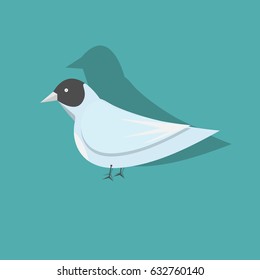 Vector bird isolated on a blue background.