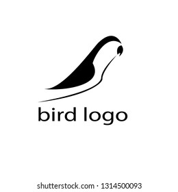 vector bird logo
