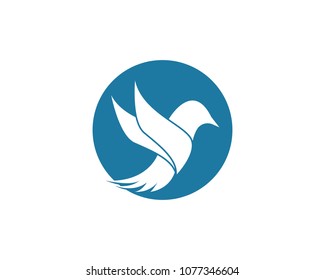 Vector bird logo template