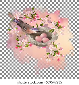 Vector bird in the nest and spring tree branch inside abstract blot with transparent edges against the checkerboard background