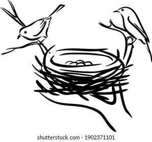 Vector of Bird and Nests on white background , Bird family with eggs