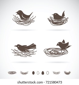 Vector of Bird and Nests on white background.