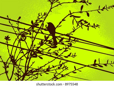 vector bird on branch