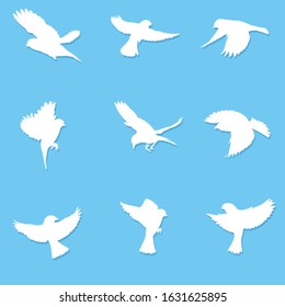 Vector bird pack of 9