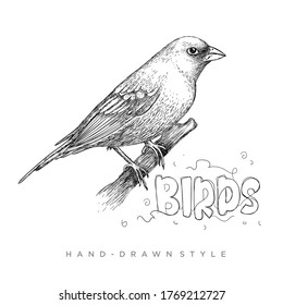 vector bird perch in an abstract hand-drawn style, illustration in black and white animal