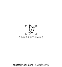 vector bird photography design logo