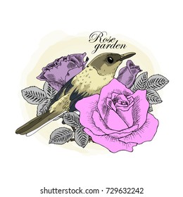 Vector bird with roses. Hand drawn illustration of  bird and roses. 2