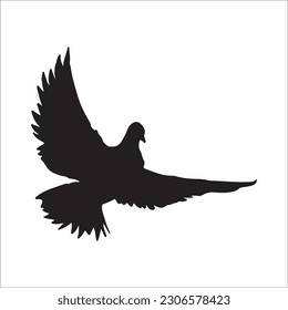 Vector bird silhouette 