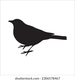 Vector bird silhouette 