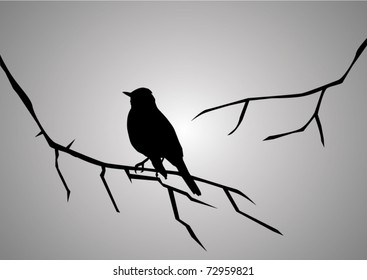 vector bird silhouette sitting on the branch