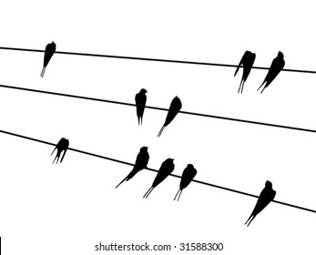 vector bird silhouettes