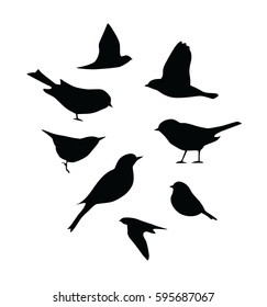 vector bird silhouettes