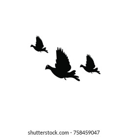 vector bird silhouettes