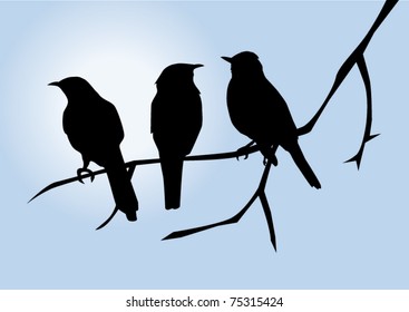 vector bird silhouettes on the branch