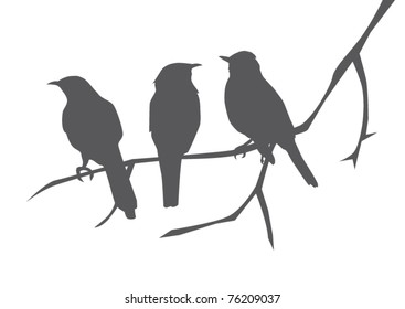 vector bird silhouettes sitting on the branch