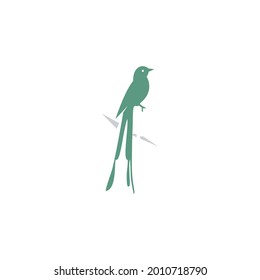 Vector bird with simple dangling long tail