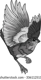Vector bird. Swallow