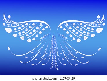 vector bird wing illustration