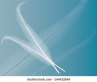 vector bird wing illustration