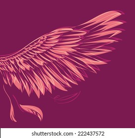 Vector bird wing illustration 