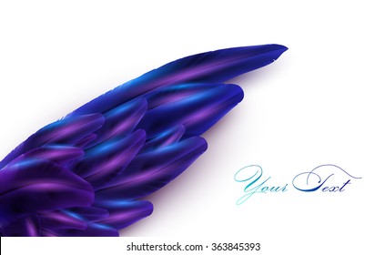 vector bird wing illustration