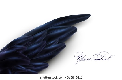 vector bird wing illustration