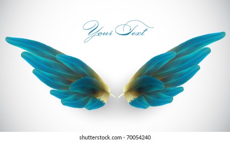 vector bird wing illustration