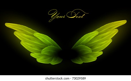 vector bird wing illustration